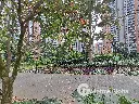 17.webp