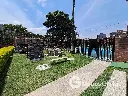 17.webp