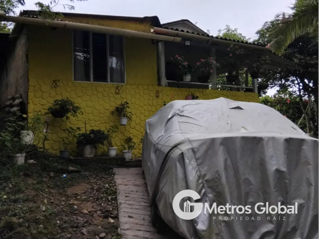 12.webp
