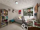 16.webp