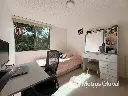 14.webp