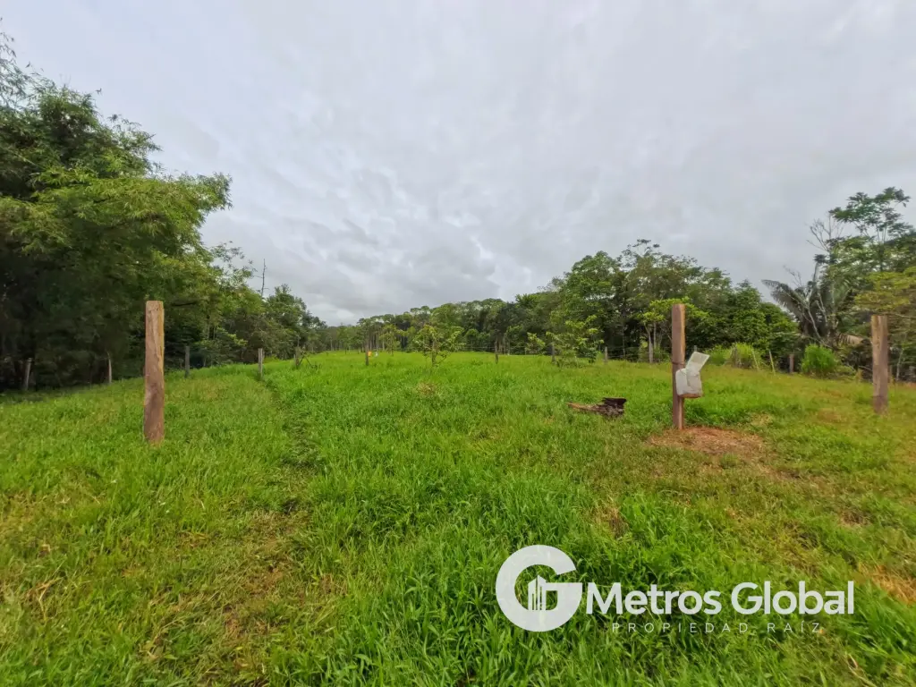 TERRENE EN VENTA MUTATA ANTIOQUIA